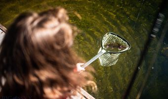 Trout Pond Lane lot 7, Big Sky, MT 59716