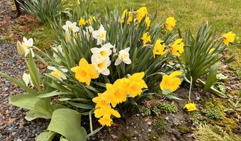 1045 Broadway, Bangor, ME 04401