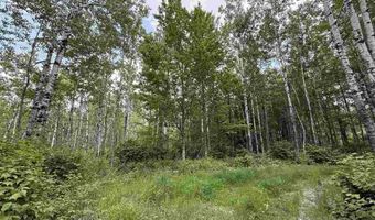 TBD Samuelson Road - Sec 15, Angora, MN 55703