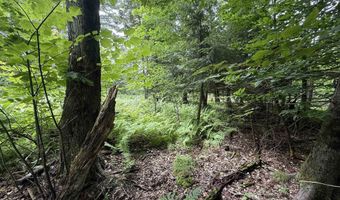1386 Clif Reynolds Rd, Cambridge, VT 05444