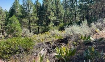 002 Ash Vly, Adin, CA 96006