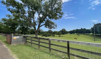 14880 Hwy 35 S, Batesville, MS 38606