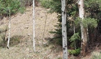 Lots 1-4 block 4, Bonanza, CO 81155