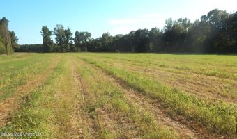 County Road 247, Bruce, MS 38915