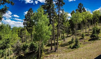 25 Los Alamos Cir, Angel Fire, NM 87710