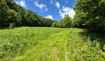 2613 Murphy Hill Rd, Andes, NY 13731