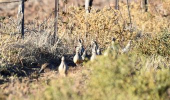 State Highway 214, Adrian, TX 79001