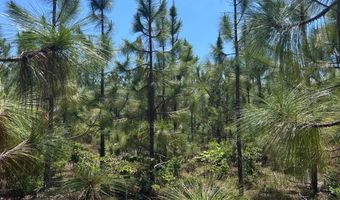 001 West Rd, Bethune, SC 29009
