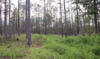 Hwy 9, Bruce, MS 38915