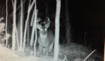 V/L S M-33, Alger, MI 48610