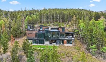 2520 BOREAS PASS Rd, Breckenridge, CO 80424