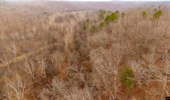CR 19-A, Alton, MO 65606