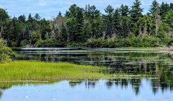 33 Acres Off Net Riv, Amasa, MI 49903