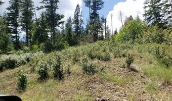 Arlee Pines lot 20, Arlee, MT 59821