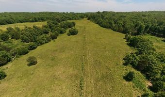 County Road 113, Alton, MO 65606