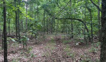3751 CR 1313 County Road 1313 Crane Lake Rd, Arcadia, MO 63621