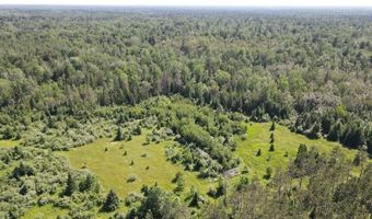 2254 E M30, Alger, MI 48610