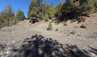Tract J Shoot the Moon Lane, Anaconda, MT 59711