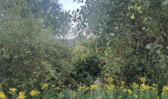 4 Ashley Ln, Allenton, MI 48002