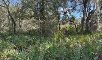 0 ALTURAS BABSON PARK CUT OFF Rd, Bartow, FL 33830