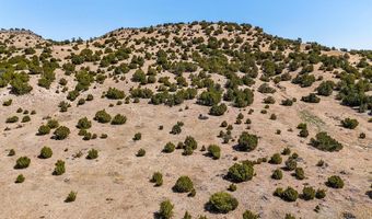 Cedar Grove Rd, Beulah, CO 81023