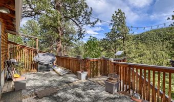 226 Hall Rd, Bailey, CO 80421