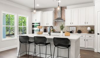 8620 Standing Stone, Ball Ground, GA 30107
