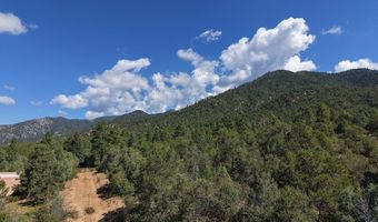 Robertos Lane, Arroyo Seco, NM 87514