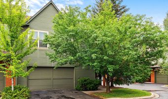 541 Evans Ct, Basalt, CO 81621