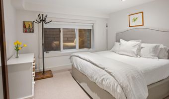 901 W FRANCIS St, Aspen, CO 81611