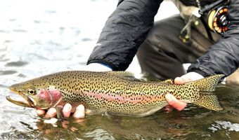 Riverway Road lot 15 A Tbd, Belgrade, MT 59714