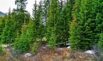 498 97 Cir, Blue River, CO 80424
