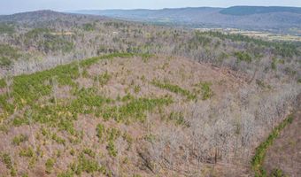 163 Acres Duck Springs Rd, Attalla, AL 35954