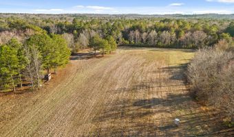 343 Co Rd 814, Flat Rock, AL 35966