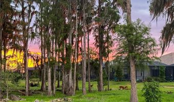 6023 Ellerston 1816, Ave Maria, FL 34142