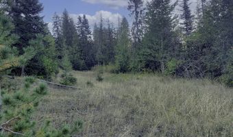 18 Majestic Mountain Rd, Clark Fork, ID 83811