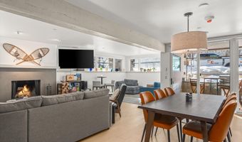 104 W Cooper Ave 1A, Aspen, CO 81611