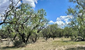 Tbd TBA County Road 100, Abilene, TX 79601