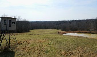 County Road 529, Ava, MO 65608