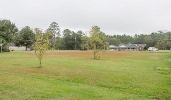 273 Holmesville Ave, Baxley, GA 31513