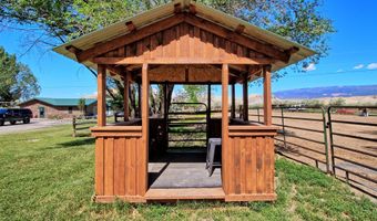 10341 Tongue Creek Rd, Austin, CO 81410