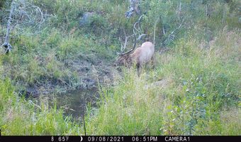 TBD Old Flowers Road, Bellvue, CO 80512