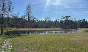 29752 Clinton Threeton Dr, Albany, LA 70711