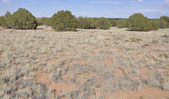 176 CR N5549, Concho, AZ 85924