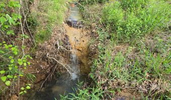 TR 21 & 22 PINE TREE TRAIL, Albion, OK 74571
