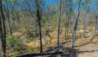 2002 Cherry Xing, Benton, AR 72015