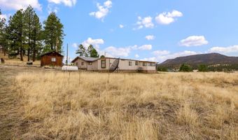 4 County Road 2110, Alpine, AZ 85920