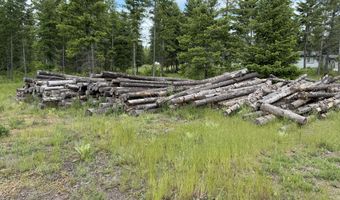 12572 E Parks Rd, Athol, ID 83801