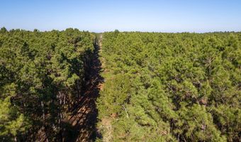 527 Forest Service Rd, Apple Springs, TX 75926