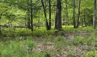 Tbd Brookstone Rd, Bastian, VA 24314